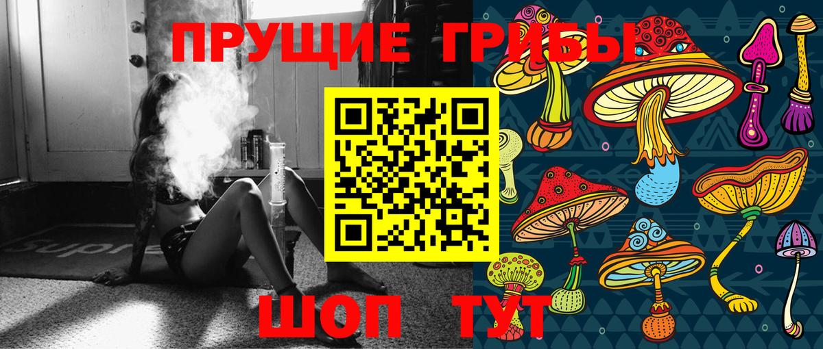 купить наркоту  Псилоцибиновые грибы мухоморы  Вход с VPN  Псилоцибиновые грибы Cubensis  Пенза 